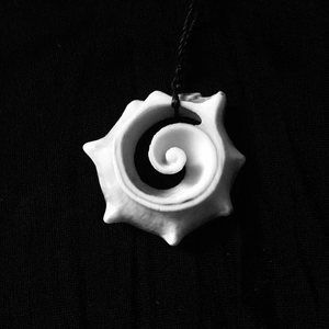 Meet your Posher, Rosa tupina